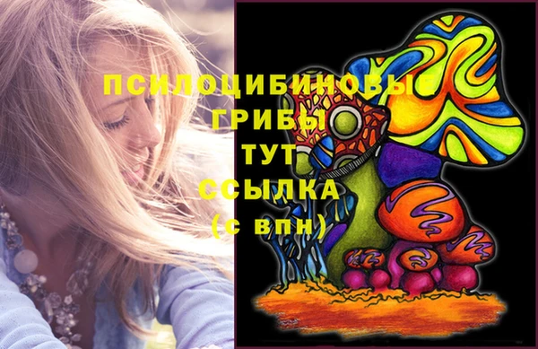 таблы Михайловск