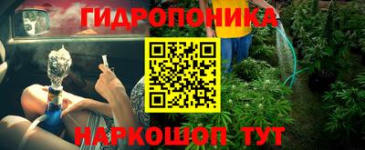прущие грибы Севастополь