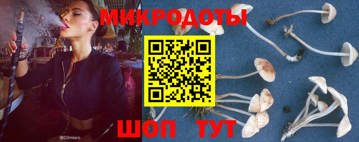 Псилоцибиновые грибы прущие грибы  Вход с VPN  Сатка 